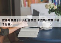 软件开发属于什么行业类型（软件开发属于哪个行业）