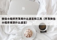 微信小程序开发用什么语言和工具（开发微信小程序用到什么语言）