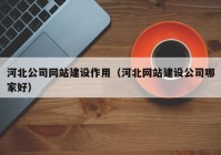 河北公司网站建设作用（河北网站建设公司哪家好）