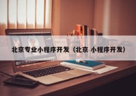 北京专业小程序开发（北京 小程序开发）