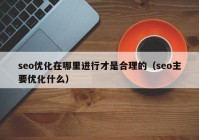 seo优化在哪里进行才是合理的（seo主要优化什么）