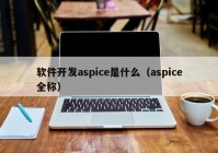 软件开发aspice是什么（aspice全称）