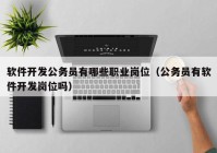 软件开发公务员有哪些职业岗位（公务员有软件开发岗位吗）