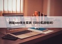 网站seo优化实训（SEO实战培训）