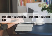 湖南软件开发公司排名（湖南软件开发公司排名榜）