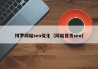 博罗网站seo优化（网站首页seo）