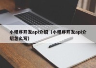 小程序开发api介绍（小程序开发api介绍怎么写）