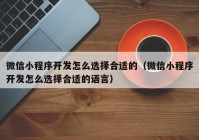 微信小程序开发怎么选择合适的（微信小程序开发怎么选择合适的语言）