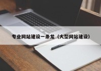 专业网站建设一条龙（大型网站建设）