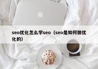 seo优化怎么学seo（seo是如何做优化的）