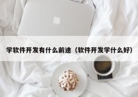 学软件开发有什么前途（软件开发学什么好）