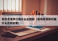 软件开发转行做什么比较好（软件开发转行做什么比较好呢）