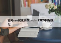 官网seo优化开发csdn（SEO网站优化）