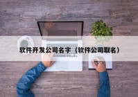 软件开发公司名字（软件公司取名）