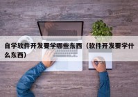 自学软件开发要学哪些东西（软件开发要学什么东西）