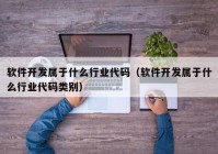 软件开发属于什么行业代码（软件开发属于什么行业代码类别）