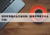 软件开发是什么行业代码（程序开发属于什么行业）